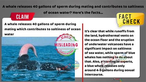 FACT CHECK: A whale releases 40 gallons of sperm .
